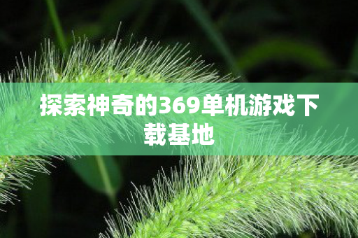 探索神奇的369单机游戏下载基地图片