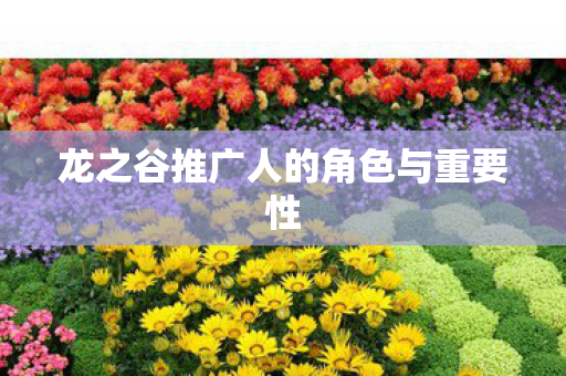 龙之谷推广人的角色与重要性图片