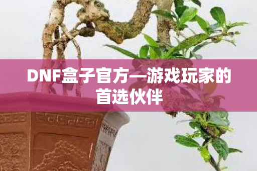 游戏玩家的首选伙伴图片