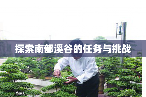 探索南部溪谷的任务与挑战图片