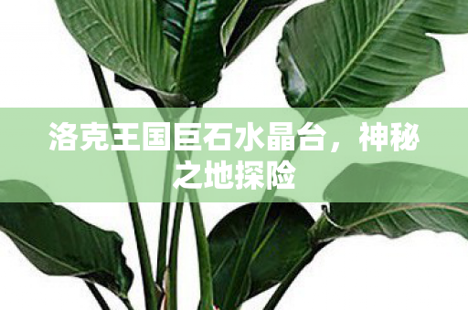 洛克王国巨石水晶台图片