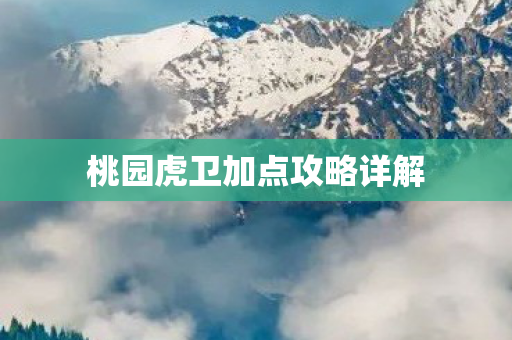 桃园虎卫加点攻略详解图片