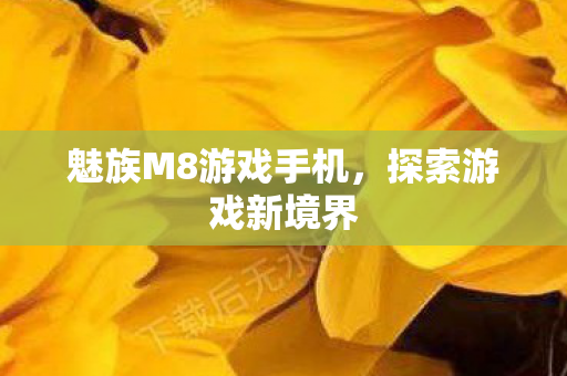 魅族M8游戏手机图片