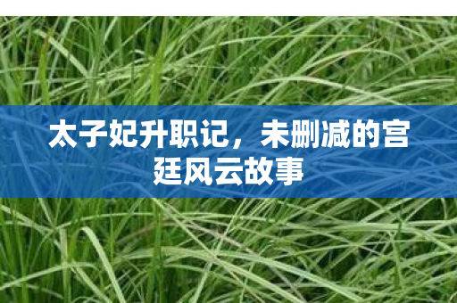 未删减的宫廷风云故事图片