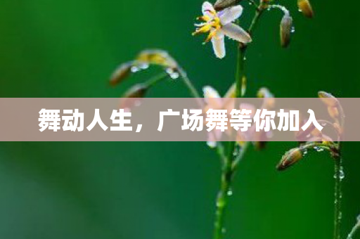 广场舞等你加入图片