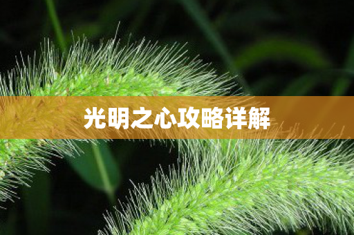 光明之心攻略详解图片