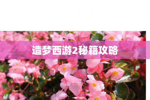 造梦西游2秘籍攻略图片