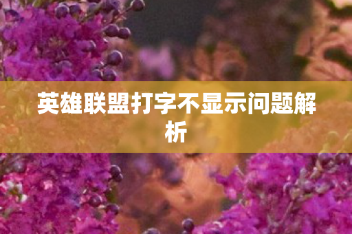 英雄联盟打字不显示问题解析图片