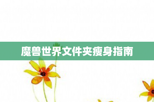 魔兽世界文件夹瘦身指南图片
