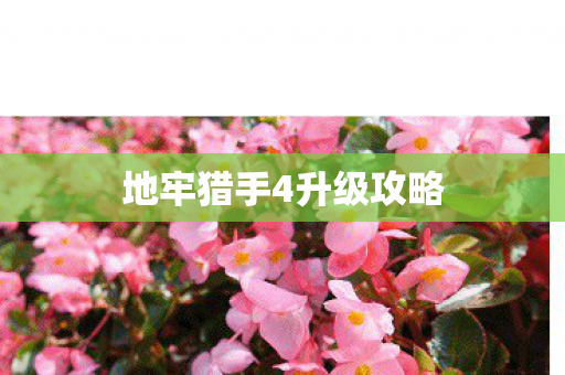 地牢猎手4升级攻略图片