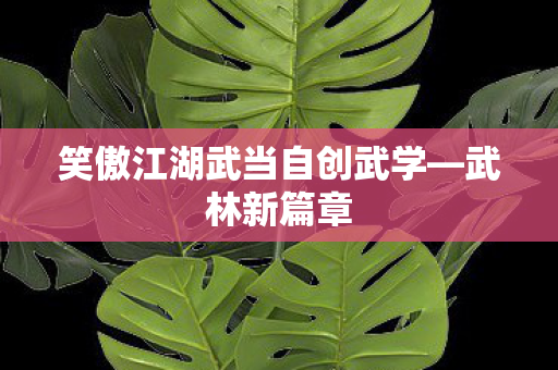 笑傲江湖武当自创武学图片