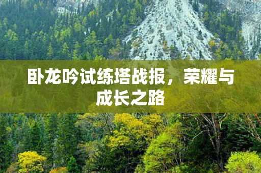 卧龙吟试练塔战报图片