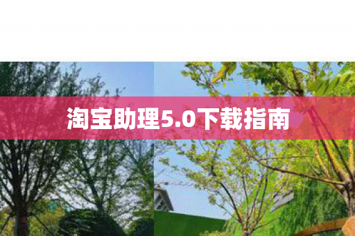 淘宝助理5图片