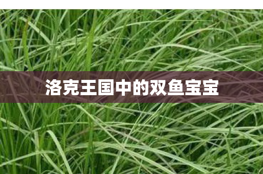 洛克王国中的双鱼宝宝图片