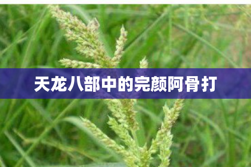天龙八部中的完颜阿骨打图片