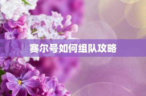 赛尔号如何组队攻略图片