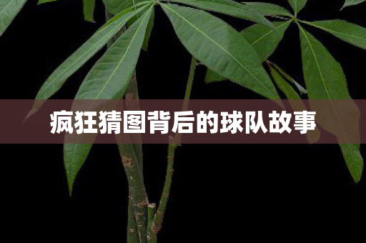 疯狂猜图背后的球队故事图片