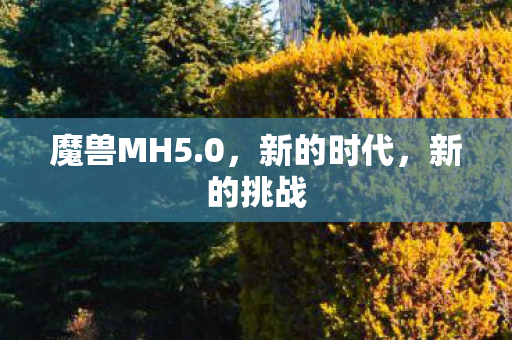 魔兽MH5图片