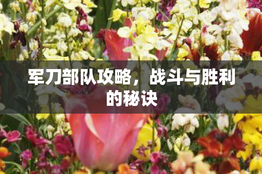 战斗与胜利的秘诀图片