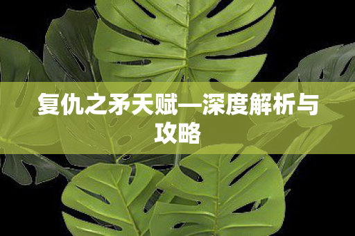 深度解析与攻略图片