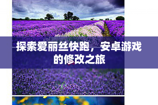 安卓游戏的修改之旅图片