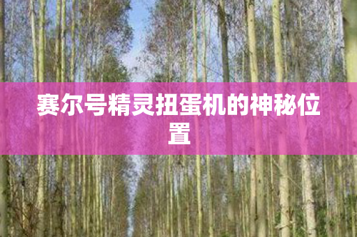 赛尔号精灵扭蛋机的神秘位置图片