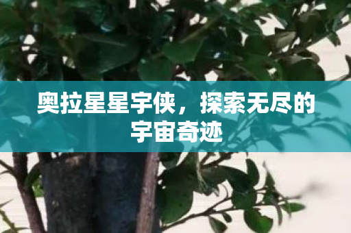 探索无尽的宇宙奇迹图片