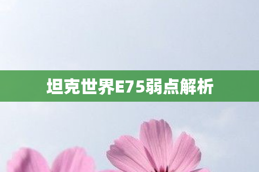 坦克世界E75弱点解析图片