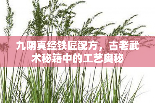 古老武术秘籍中的工艺奥秘图片