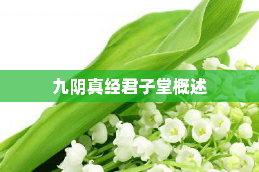 九阴真经君子堂概述图片