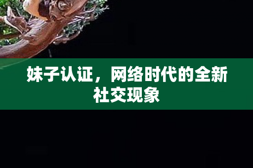 网络时代的全新社交现象图片