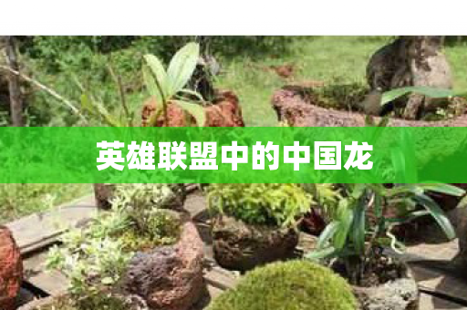 英雄联盟中的中国龙图片