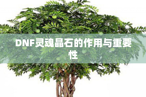DNF灵魂晶石的作用与重要性图片