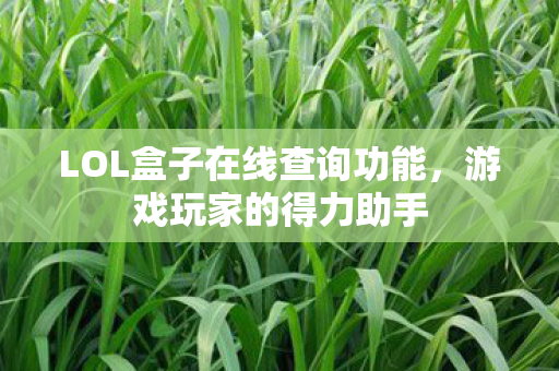 LOL盒子在线查询功能图片