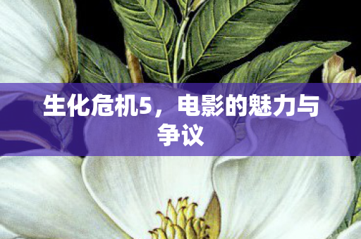 电影的魅力与争议图片