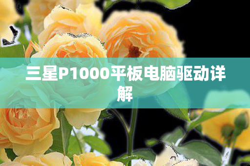三星P1000平板电脑驱动详解图片