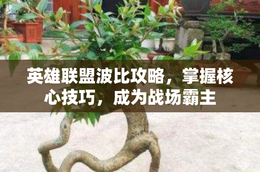英雄联盟波比攻略图片