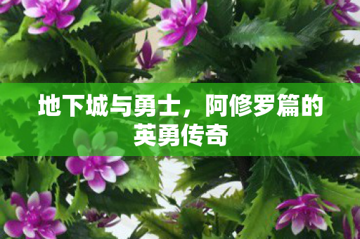 阿修罗篇的英勇传奇图片