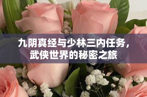 九阴真经与少林三内任务图片