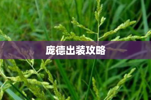 庞德出装攻略图片
