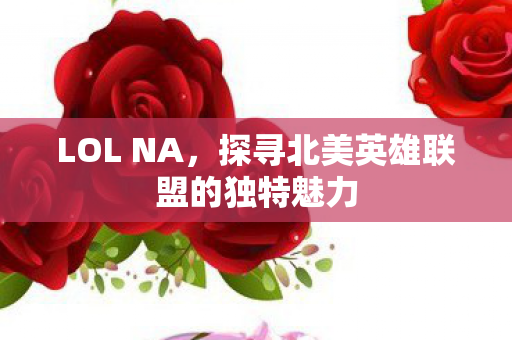 探寻北美英雄联盟的独特魅力图片