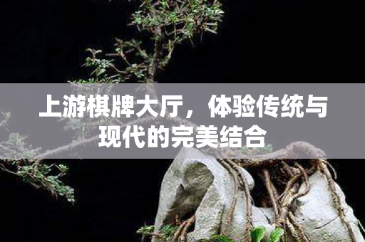 体验传统与现代的完美结合图片
