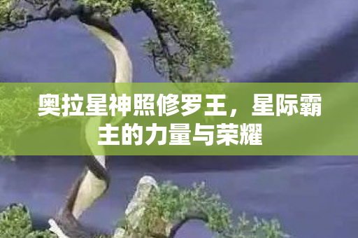 星际霸主的力量与荣耀图片