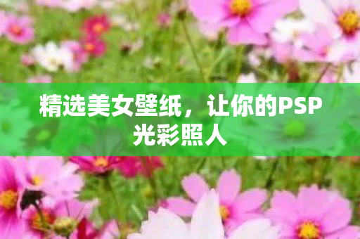 让你的PSP光彩照人图片