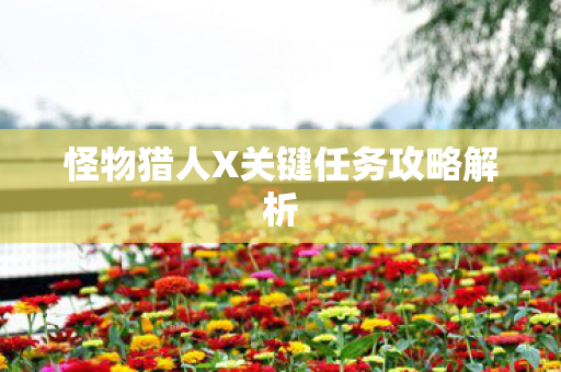 怪物猎人X关键任务攻略解析图片