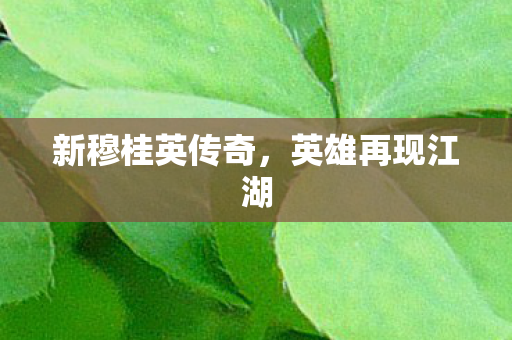 新穆桂英传奇图片