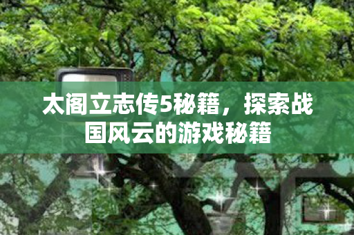 探索战国风云的游戏秘籍图片