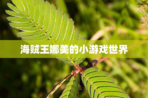 海贼王娜美的小游戏世界图片