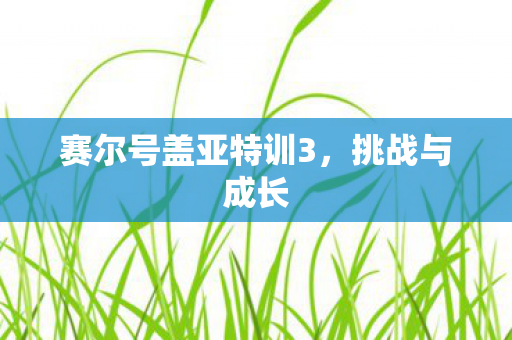 赛尔号盖亚特训3图片