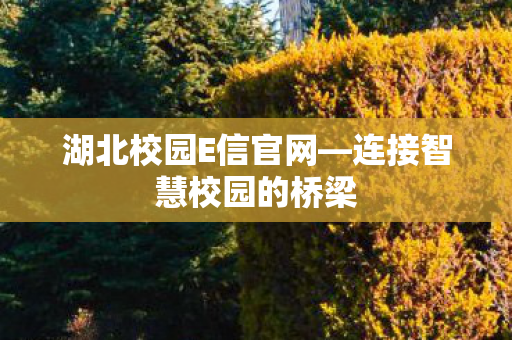 连接智慧校园的桥梁图片